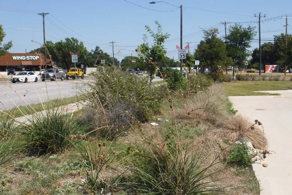 Image of a portion of a commercial property with dead landscaping.