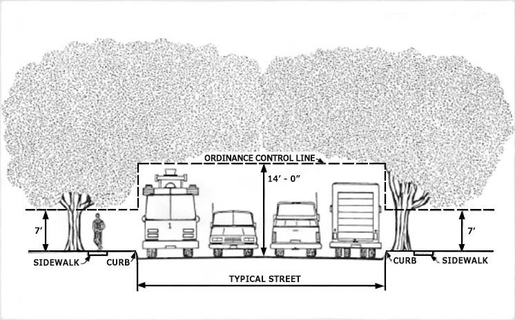 Overhanging tree limbs diagram